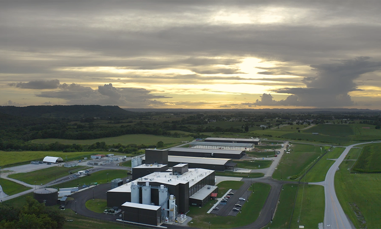 Diageo Distillery